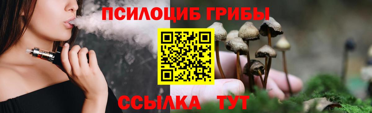 Псилоцибиновые грибы Psilocybe  Вход с VPN  Апшеронск 